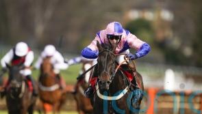 Moore has high hopes for Hudson on day one of Winter Million