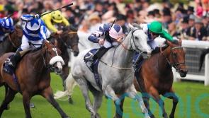 O’Meara looking forward to more Dubai sparkle from Lord Glitters