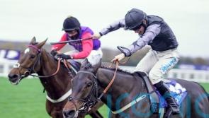 Wonderwall to tune up for Cheltenham in Sidney Banks