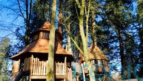 Charles opens children’s adventure playpark inspired by George’s treehouse