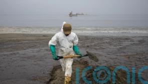 21 beaches polluted by oil spill in Peru linked to Tonga eruption