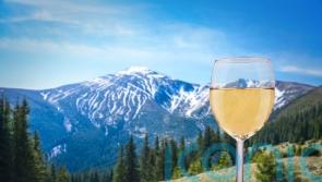 6 stunning winter whites to polish up the palate