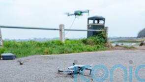 Stranded dog rescued with sausage dangled from drone