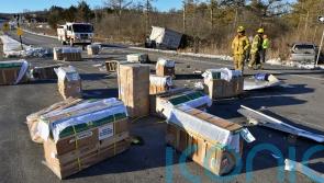Monkeys missing after lab transport truck crashes