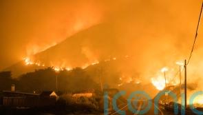 Homes evacuated over wildfire in California’s Big Sur