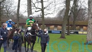 Jonbon gets the job done at Haydock