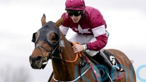 Tiger Roll finishes down the field at Navan