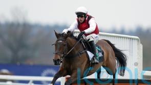 Decision to stick with ‘Plan A’ pays off with Molly Ollys Wishes