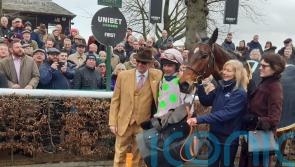 Royale Pagaille shines in Peter Marsh repeat