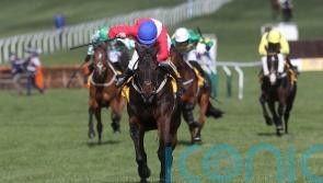 Allaho defends Thurles title in Festival prep