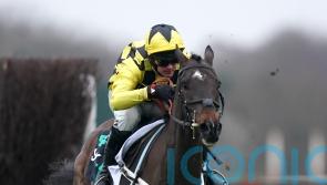 Shishkin just gets the better of Energumene in epic Clarence House