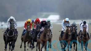 Lower Street powers home to land Winter Oaks at Lingfield