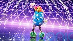 Poodle becomes latest contestant to have identity revealed on The Masked Singer