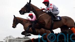 Brewin’upastorm rallies to pick up Lingfield prize