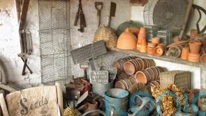 How to declutter your garden shed in 5 easy steps