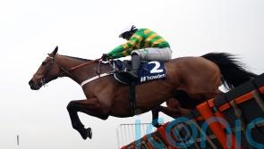 Champ goes on trial for Cheltenham this weekend