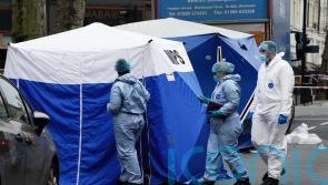 Woman stabbed to death and her attacker hit by car and killed