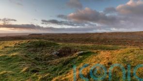 Climate change threatening Britain’s ancient treasure as peat bogs dry out