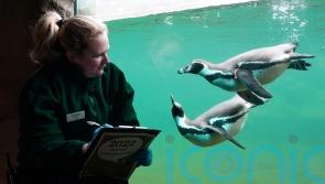 Marwell Zoo begins annual count of all creatures great and small