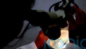 Faulty genes linked to prostate and pancreatic cancers, study suggests