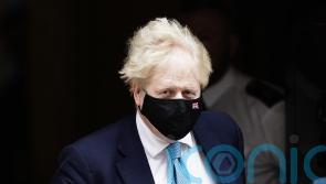 Officials suggest PM ‘authorised’ Afghanistan evacuation of animal charity