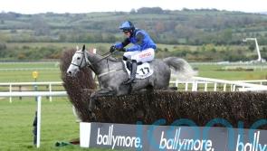 Fahy hoping Gowran ground will favour Mister Fogpatches
