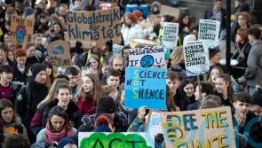 Two thirds of teachers think climate change education ‘not meaningful’