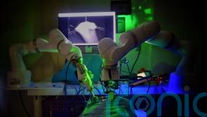 Robot performs keyhole surgery on pig without human help for first time