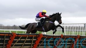 Ascot Chase defence on Dashel Drasher agenda