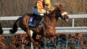 Royal Kahala shines in Galmoy Hurdle as Klassical Dream disappoints
