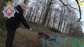 ‘Animal-loving’ police officers save deer trapped in rope swing