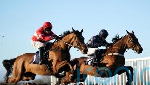 Skelton has plenty to look forward to with Sholokjack