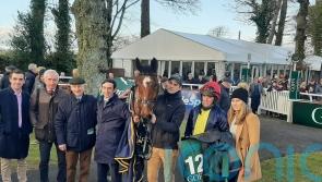Echoes of Numbersixvalverde for Brassil with Longhouse Poet