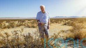 Sir David Attenborough spiked by ‘vicious spines’ of cactus in The Green Planet