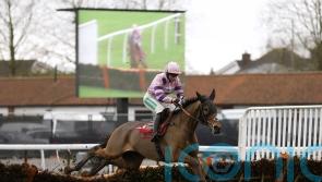 Iceo seeking to book Triumph Hurdle ticket