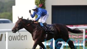 Real World oozes class on Meydan return