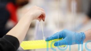 Omicron strain &lsquo;has greater growth rate and may be more transmissible&rsquo;