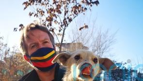 Nowzad founder believes Boris Johnson did not intervene in animal evacuation
