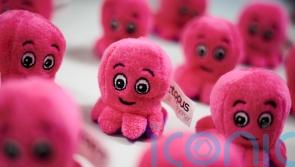 Stream of customers moving to energy supplier Octopus slows as gas price spikes