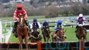Pied Piper calls the tune for Elliott at Cheltenham