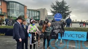 Allegorie De Vassy heading for Cheltenham