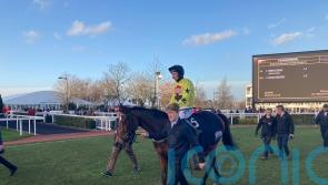 North Lodge picks up Ballymore honours in dramatic renewal