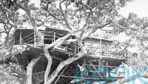 How Elizabeth became Queen watching baboons at sunrise from Kenyan treetops