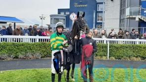 Darasso surprises Saint Felicien in Limestone Lad Hurdle