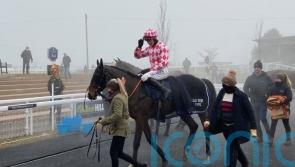 Kelso and Haydock under consideration for Bold Endeavour
