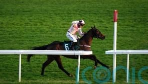Harris mulling options for Cheltenham victor Mullenbeg