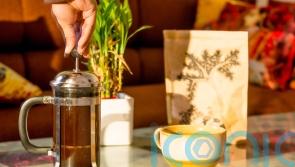 Could leftover coffee, tea and other drinks feed your plants?