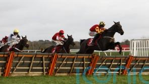 Onemorefortheroad all set for Newbury feature