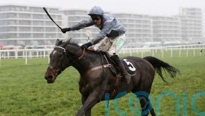 Santini team eager to take Cheltenham Gold Cup test