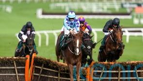 Bardenstown Lad out to book Festival ticket at Musselburgh